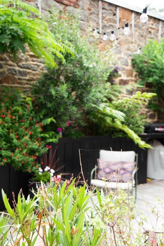 photo d'une terrasse avec de la végétation dans une jardinière en bois réalisée sur mesure afin de créer un jungle urbaine